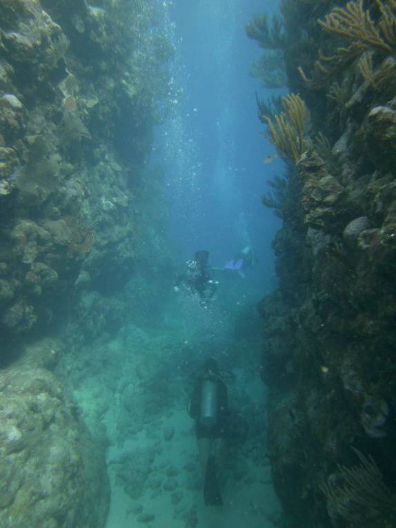 Atravessando um canyon formado por corais durante mergulho em Utila, ilha no litoral norte de Honduras